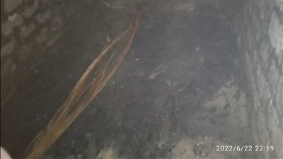 نفوق ماشية في حريق هائل بمنزل بأسيوط |صور