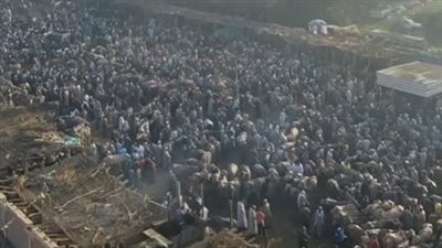 لـ شراء الأضاحي.. زحام كبير من المواطنين على سوق المواشي بـ شبين الكوم | بث مباشر 
