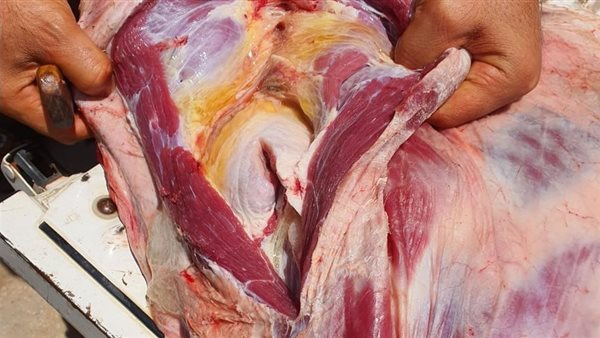 ضبط كميات من اللحوم