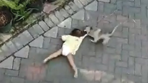 صورة تعبيرية