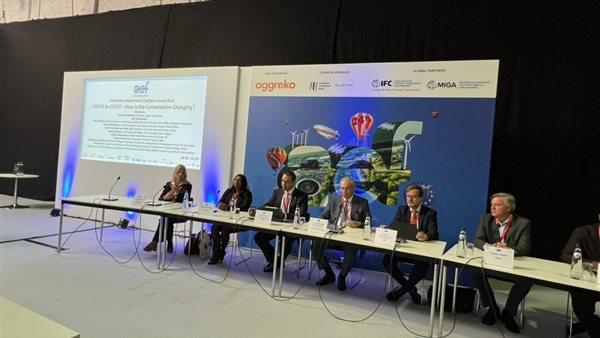 مؤتمر الطاقة الإفريقي