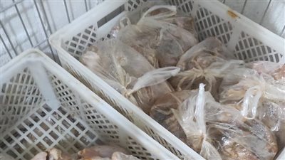 تموين أسيوط: تحرير 282 محضرًا للمخابز والأسواق خلال حملات تموينية بالمراكز