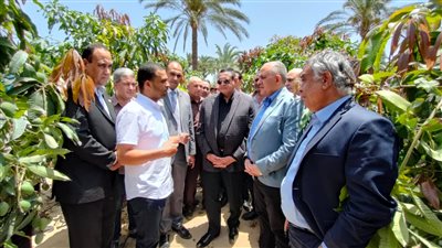 70 فدان مانجو.. وزير الري ومحافظ البحيرة يتفقدان إحدى المزارع تعمل بنظام الري الحديث