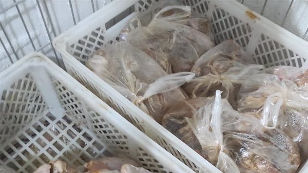 جانب من المضبوطات