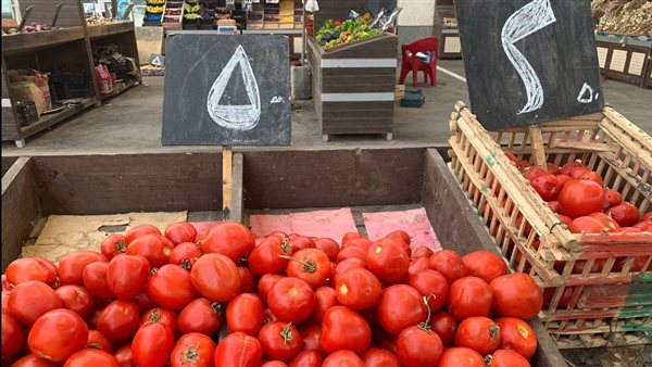 الخضروات والفاكهة