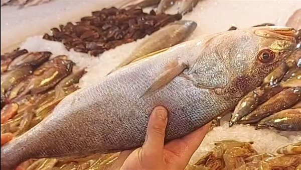 سوق الأسماك المطور