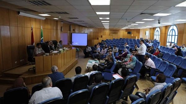 محافظ المنيا