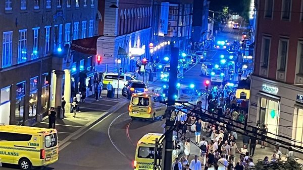 عناصر من الشرطة النرويجية