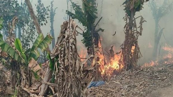 حريق - أرشيفية 