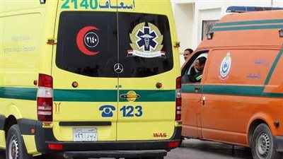 اختل توازنه.. سقوط طفل من الطابق الثاني بمنزله في المنوفية 