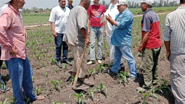 ندوات إرشادية للمزارعين