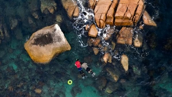 رياضة السنوركليج