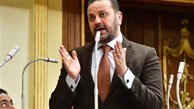 عضو مجلس أمناء الحوار الوطني يكشف أهم الملفات المطروحة على طاولة اللجنة | خاص 