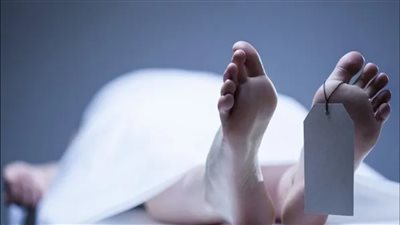 بث مباشر | لارتباطها بغيره.. تفاصيل اعترافات قاتل فتاة وإلقاء جثمانها بالزراعات في قنا