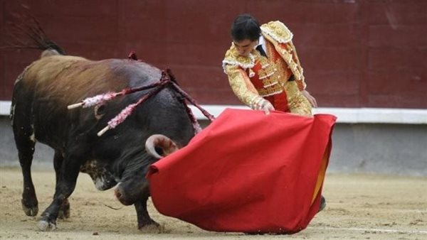 مصارعة الثيران