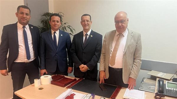 جمارك مطار القاهرة