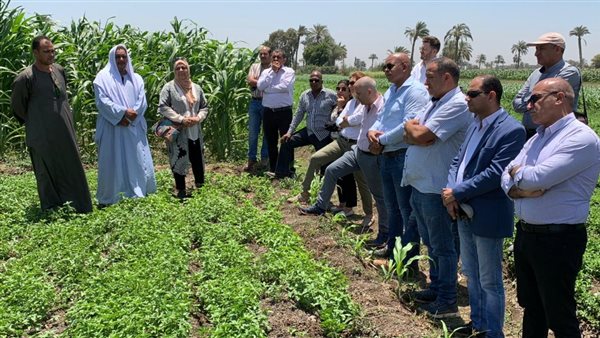 مشروع الابتكار الزراعي