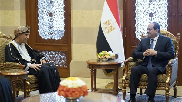 السيسي يلتقي نائب