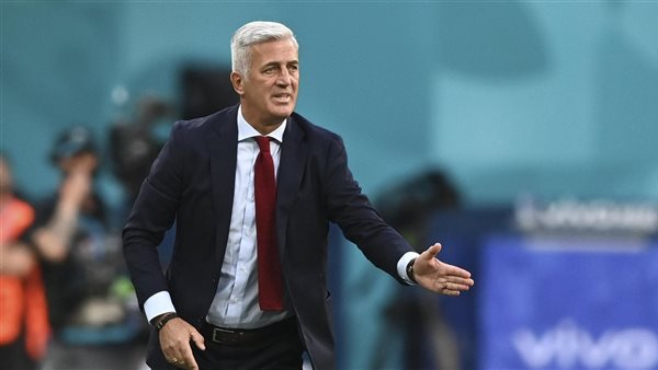 فلاديمير بيتكوفيتش