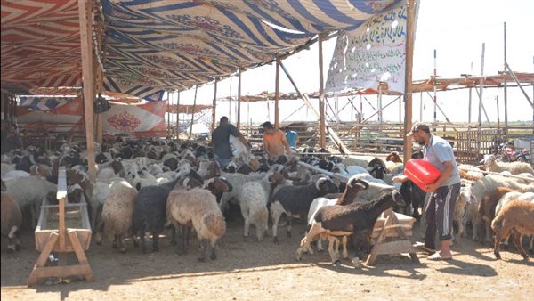 منطقة القابوطي الجديد