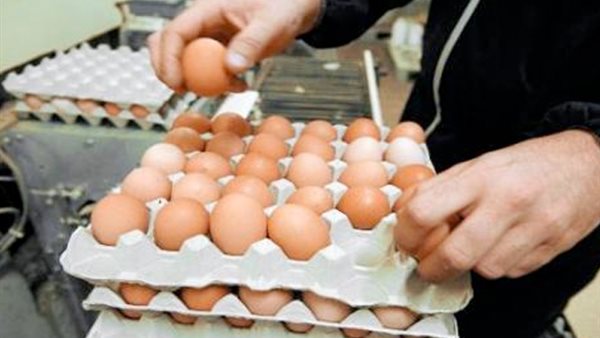 أسعار البيض 