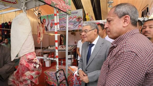 محافظ المنيا