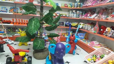 من 20 لـ30%.. زيادة جديدة في أسعار ألعاب الأطفال قبل عيد الأضحى