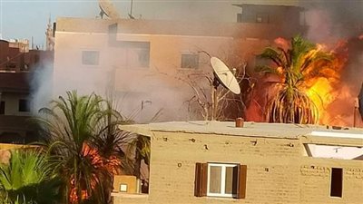 نشوب حريق هائل في منطقة شجرية بقنا | صور