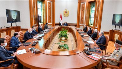 الرئيس السيسي يوجه بالاستمرار في جهود تطوير بحيرة المنزلة