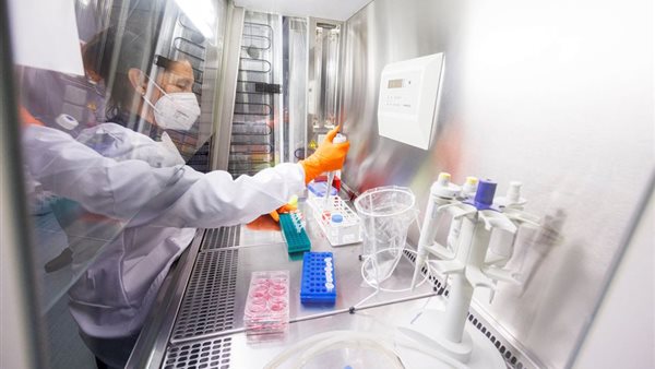 جدري القرود