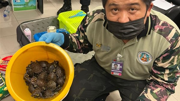 تهريب الحيوانات