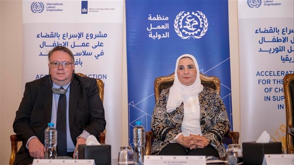 نيفين القباج وزيرة