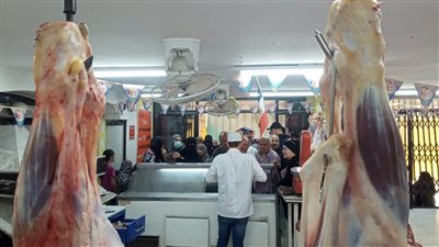 الزراعة: نعمل على زيادة المعروض من اللحوم والدواجن بالأسواق لخفض الأسعار