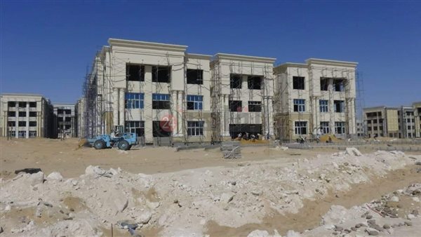 جامعة المنيا 