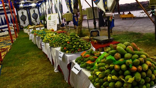 مهرجان المانجو