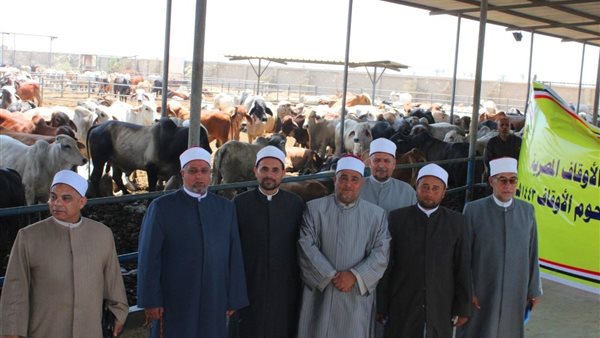 استلام رءوس أضاحي