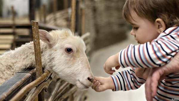 الأطفال خلال عملية