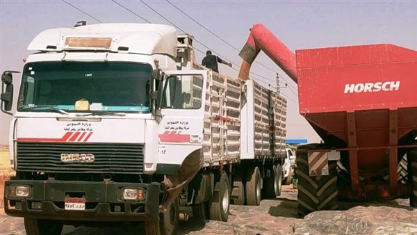 توريد القمح