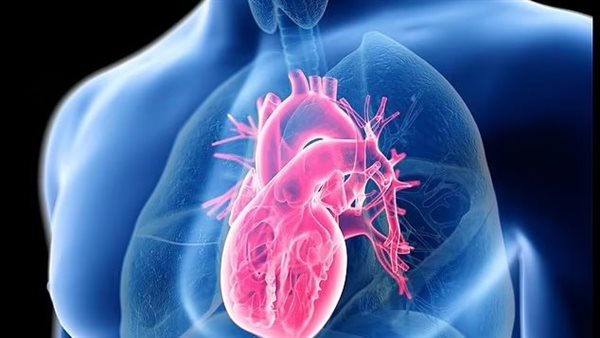 القلب -تعبيرية