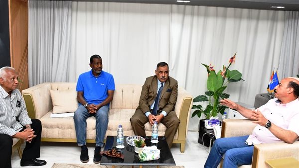 محافظ أسوان 