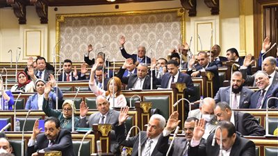 برلماني: وضع المحليات على أجندة الحوار الوطني خطوة إيجابية