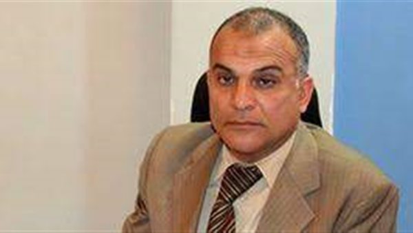 عمرو هشام ربيع