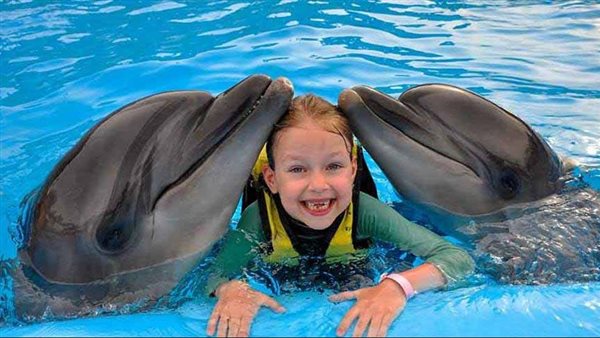 فنادق الغردقة كاملة