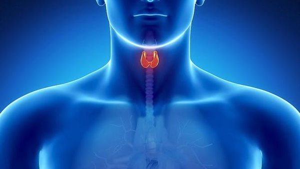 الغدة الدرقية -أرشيفية