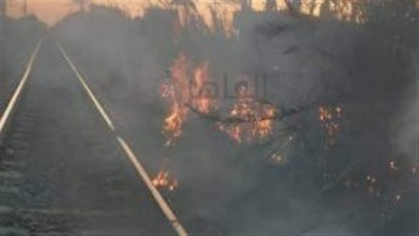 جانب من الواقعة 