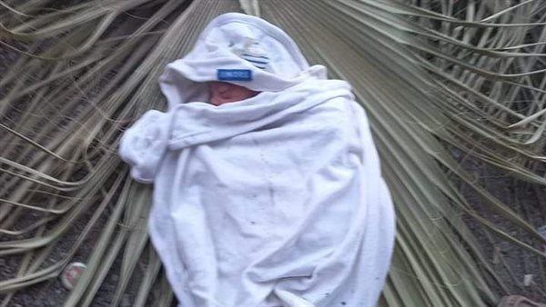 طفل رضيع - صورة أرشيفية