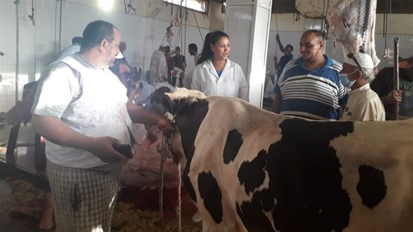 مجزر ذبح ماشية -