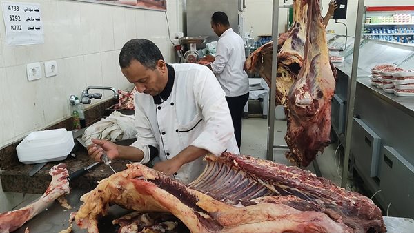 ضخ اللحوم السودانى