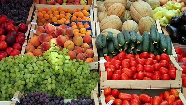 النظام النباتي 