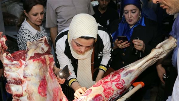 حملة تفتيشية بالمنوفية